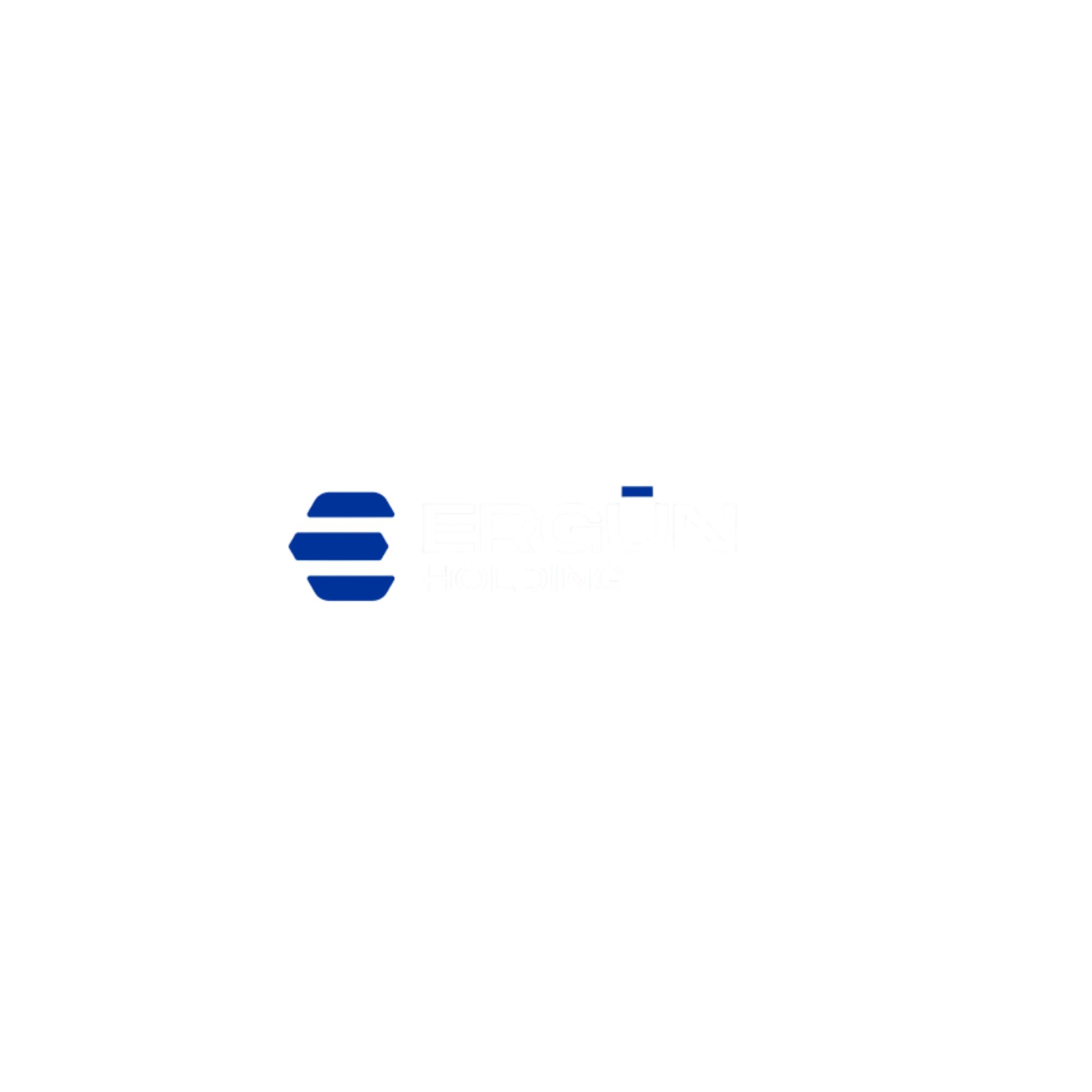 ergün holding